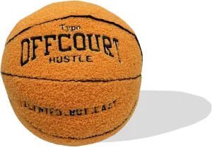 9.84inch Cute Offcourt Basketball Pillow,Durable Stuffed Sport Basketball Plush Toys,Game Lovers Fans Decoration Gift