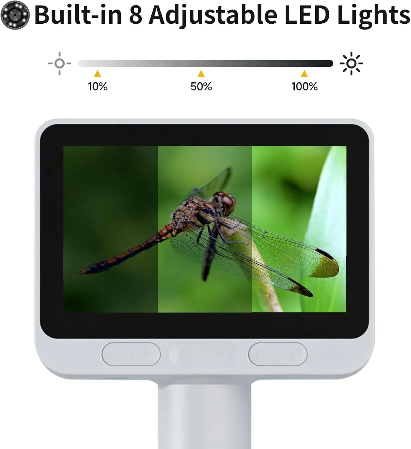 BEAVERLAB Microscope, Digital Microscopewith 4.3" IPS Screen, Coin Microscope with 8 Adjustable LED Lights, 1080P Coin Magnifier Compatible with iPhone Android Computer