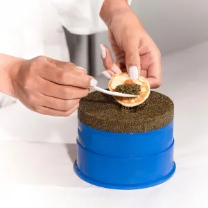 Caviar Party Kit 2.4 lbs 1.1 Kilo