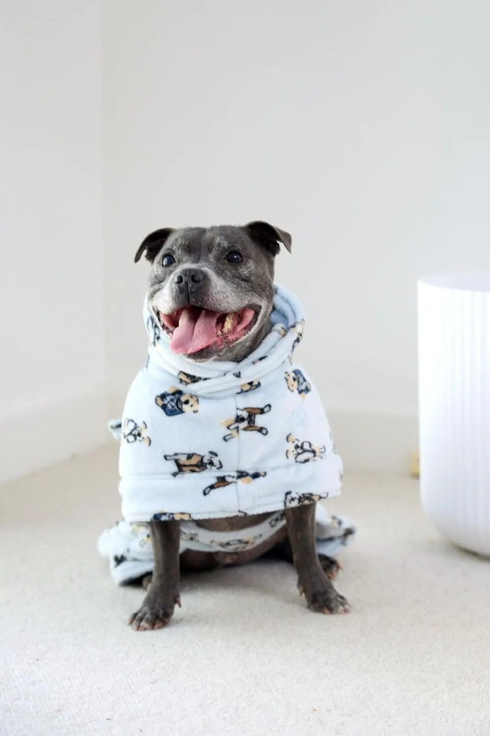 Darren & Phillip Snuggle Buddy Calming Dog Robe | Preppy Pups Ultra-Soft, Plush Robe for Dogs, Cozy & Warm Pet Bathrobe with Adjustable Fit, Body Strap Calms Dogs, Matches Women's Plush Robe