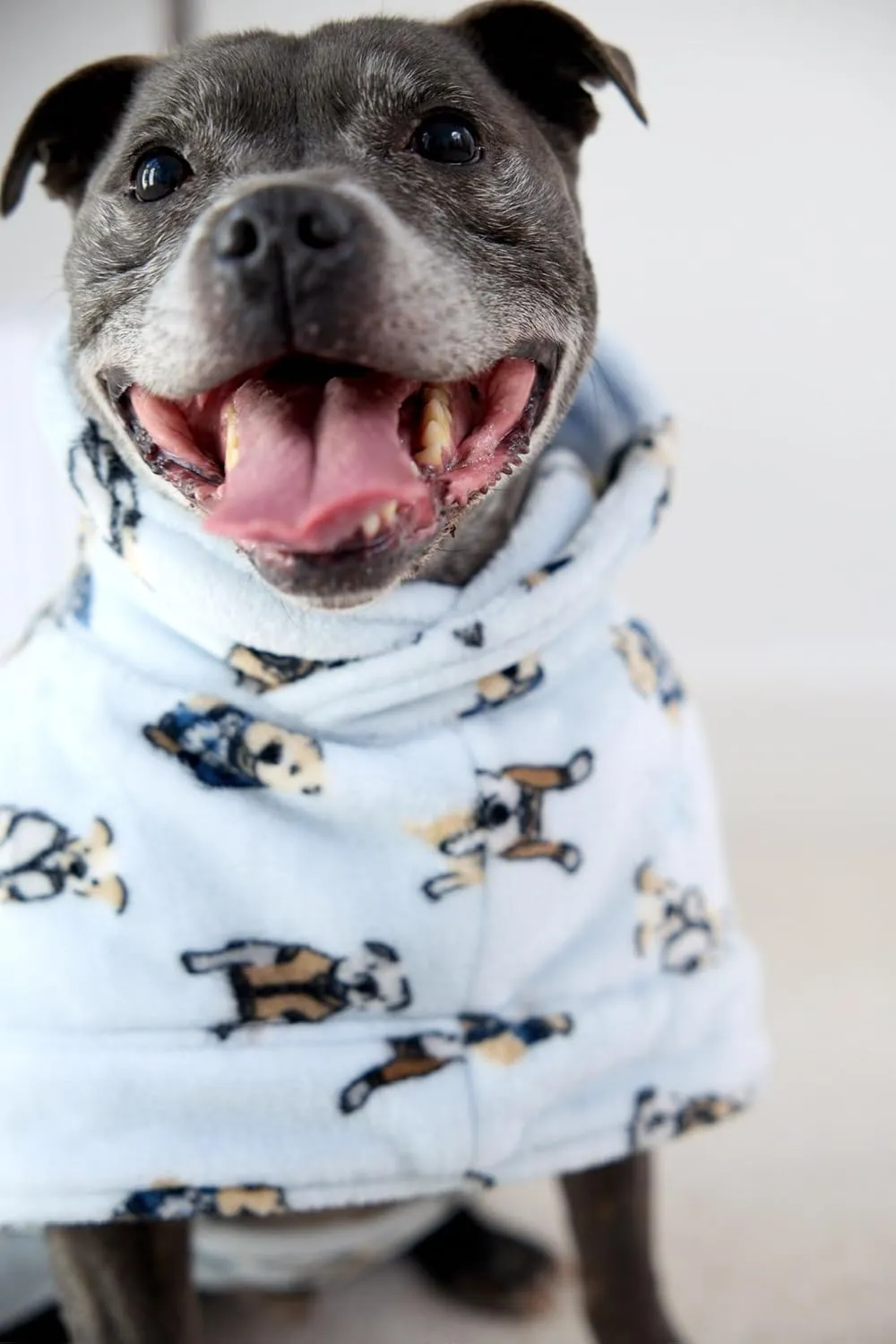 Darren & Phillip Snuggle Buddy Calming Dog Robe | Preppy Pups Ultra-Soft, Plush Robe for Dogs, Cozy & Warm Pet Bathrobe with Adjustable Fit, Body Strap Calms Dogs, Matches Women's Plush Robe