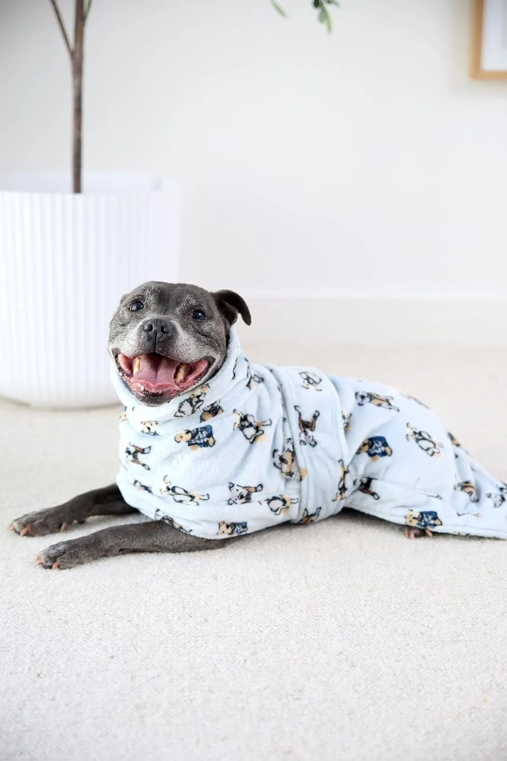 Darren & Phillip Snuggle Buddy Calming Dog Robe | Preppy Pups Ultra-Soft, Plush Robe for Dogs, Cozy & Warm Pet Bathrobe with Adjustable Fit, Body Strap Calms Dogs, Matches Women's Plush Robe
