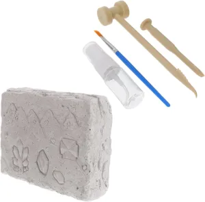 DIY Archaeological Dig Toys Natural Stone Excavating Toys Safe for Children