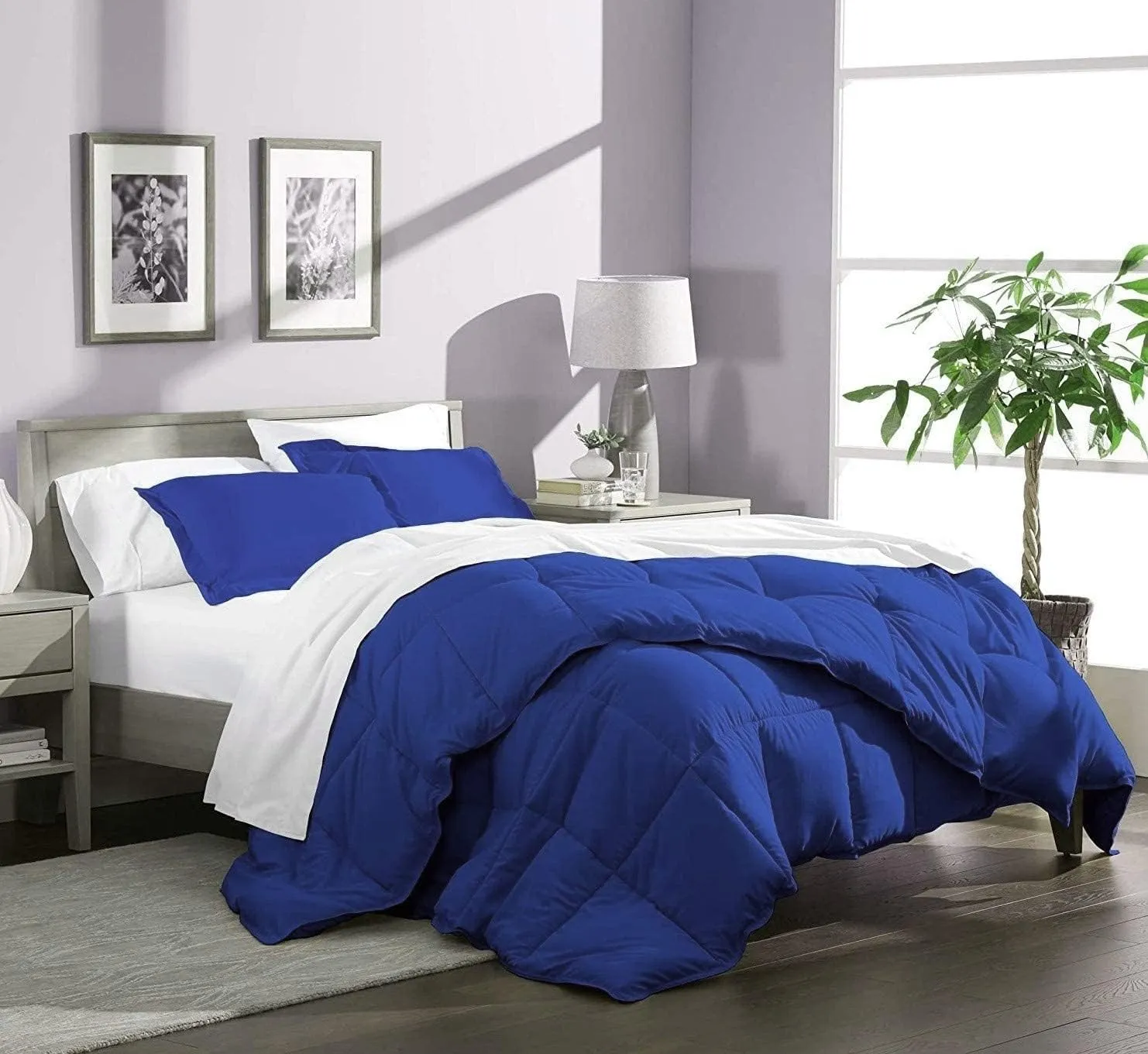 Emperor King Comforter Set 3 Piece Bed in A Bag Down Alternative Comforter for Emperor King Size Bed - Royal Blue - 1000 Thread Count with 500 GSM Fluffy Bedding Comforter Wrinkle Free