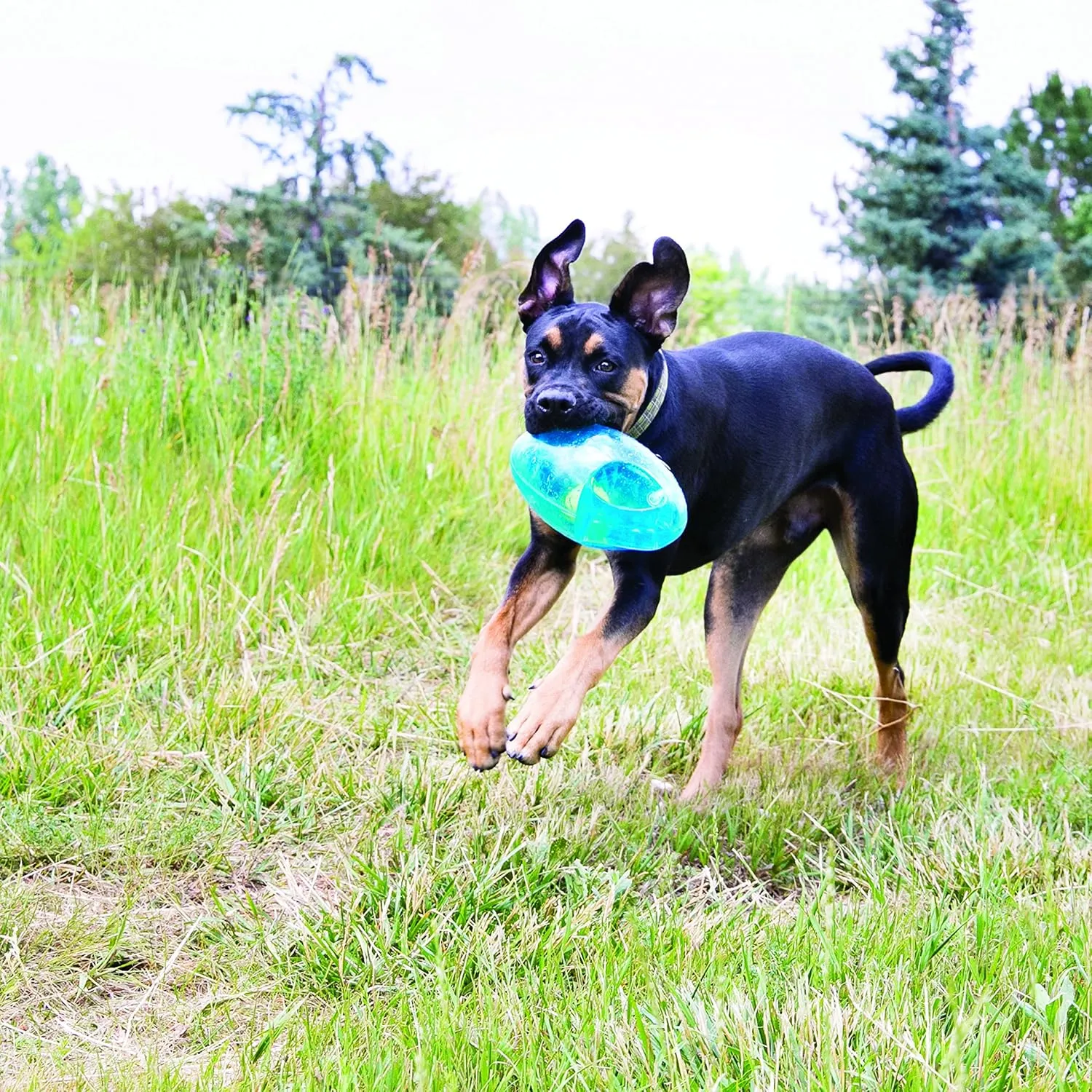 KONG Jumbler Football - Interactive Dog Toy for Dog & Puppy Playtime - Fetch Toy with Tennis Ball - Dog Supplies for Engaging Play (Medium/Large)