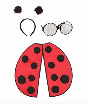 Ladybug Costume Kit