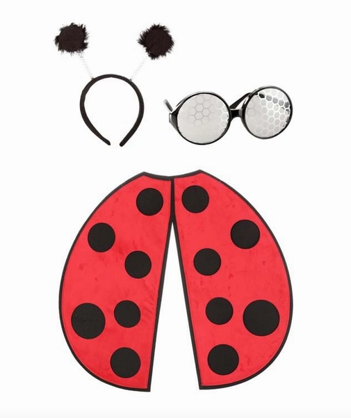 Ladybug Costume Kit