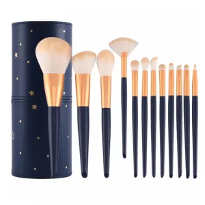 Makeup Brushes 12 Pcs Set,Professional Makeup Kit,Make up Brush Foundation Powder Brush Eyebrow Eyeshadow Brush Contour Blush Concealer Brush with Case (Blue)