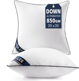 MIULEE 20x20 Pillow Inserts Set of 2 Throw Pillows 20 Inch Premium Down Alternative Pillow Inserts Decorative Pillow Stuffer for Sofa, Couch (20x20 inch, Set of 2)