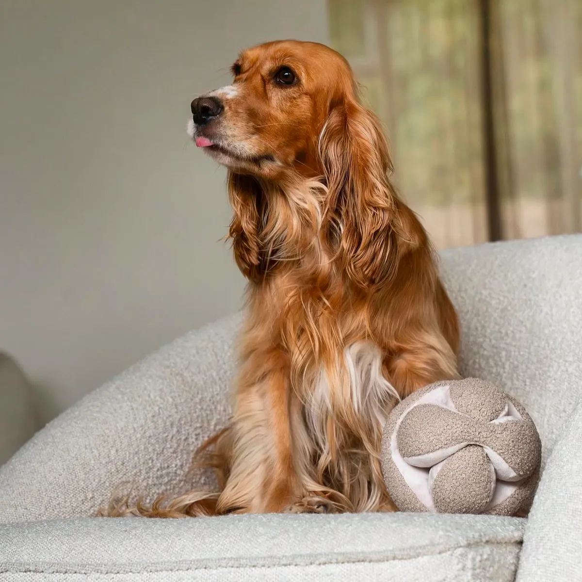 monti enrichment toy - oat