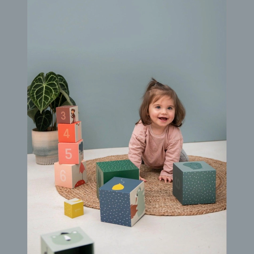 Stacking Blocks