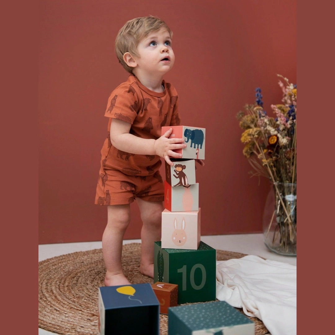 Stacking Blocks