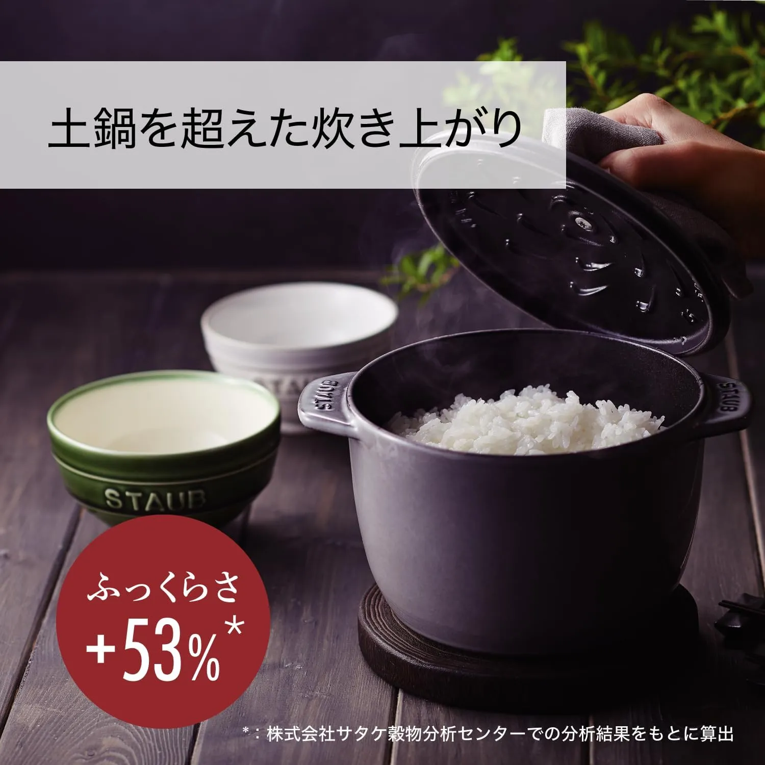 staub La Cocotte de GOHAN Campagne S 40501-423 Rice Pot, 1 Piece, Cast Iron Pot, Rice Cooker, with Serial Number Included
