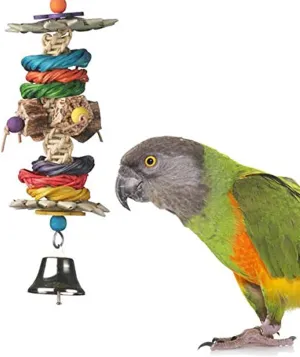 Super Bird Creations SB1097 Jungle Stick Bird Toy - Natural Wood & Vine Bird Chew Toy for Ringnecks Medium Conures Parrots - Encourages Exploration & Chewing Instincts - Medium Bird Size, 11.5" x 3"