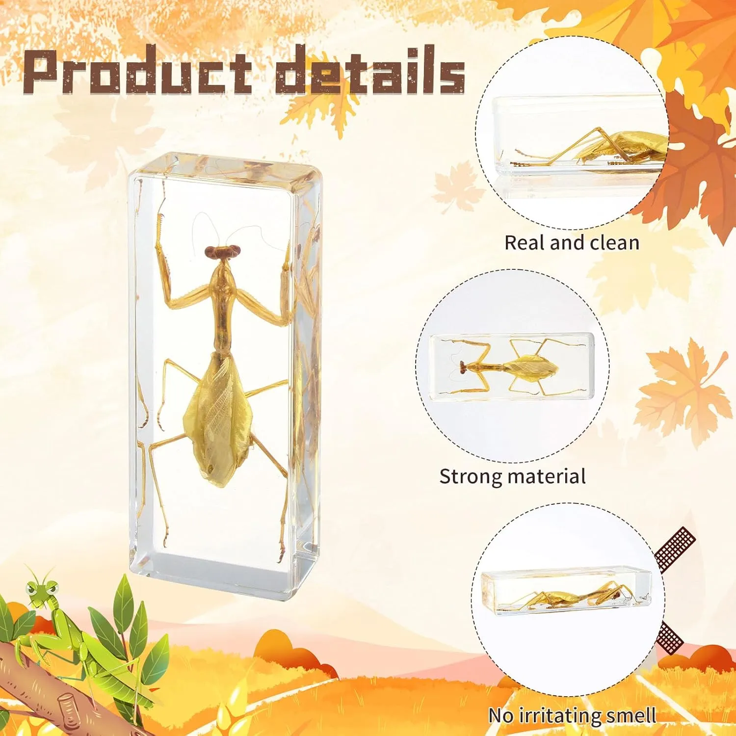 Taxidermy Praying Mantis Insect in Resin, 4.3 x 1.7 x 1.1 inches Real Bug Praying Mantis Specimens Animal in Resin Paperweights Specimen for Classroom Science Education Desk Decor (Praying Mantis)