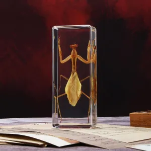 Taxidermy Praying Mantis Insect in Resin, 4.3 x 1.7 x 1.1 inches Real Bug Praying Mantis Specimens Animal in Resin Paperweights Specimen for Classroom Science Education Desk Decor (Praying Mantis)