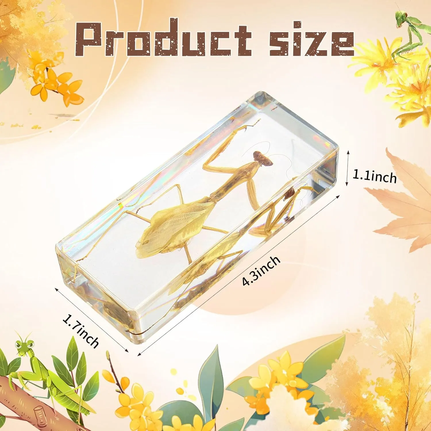 Taxidermy Praying Mantis Insect in Resin, 4.3 x 1.7 x 1.1 inches Real Bug Praying Mantis Specimens Animal in Resin Paperweights Specimen for Classroom Science Education Desk Decor (Praying Mantis)