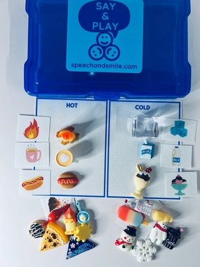 TEMPERATURE Preschool SCIENCE Sort Hot Cold  Task Box with Mini Objects and Pictures - Miniature Objects - Speech Therapy Task Box