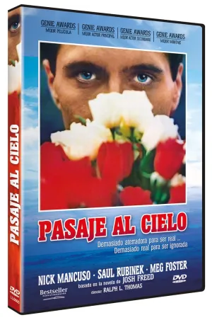 Ticket to Heaven [ NON-USA FORMAT, PAL, Reg.0 Import - Spain ]