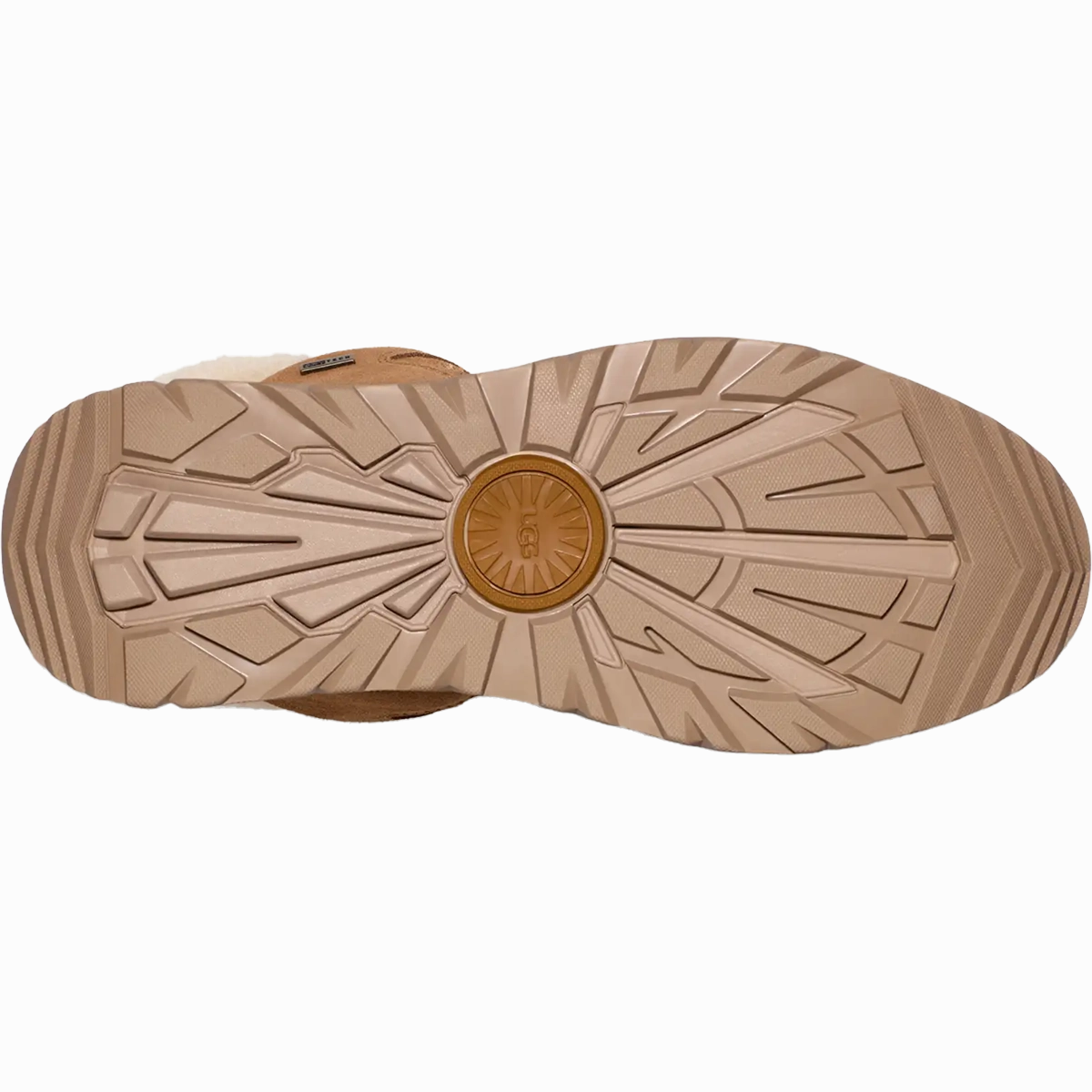 Women's TerreTrail Cozy Lace