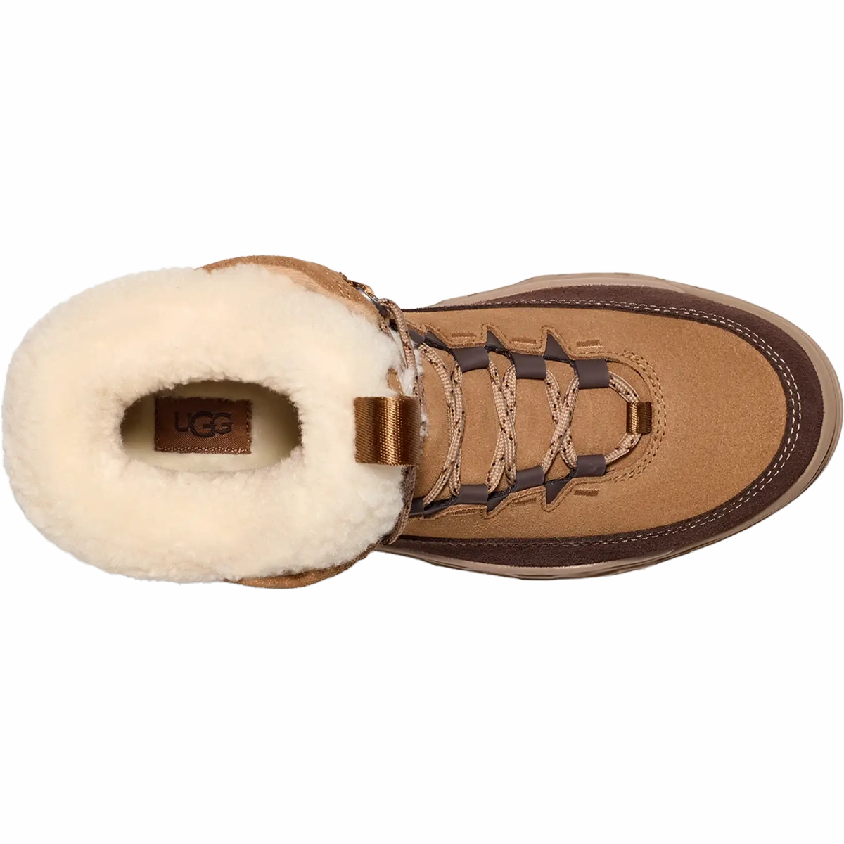 Women's TerreTrail Cozy Lace